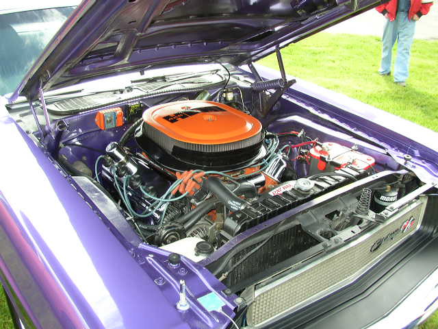 P1010010.JPG